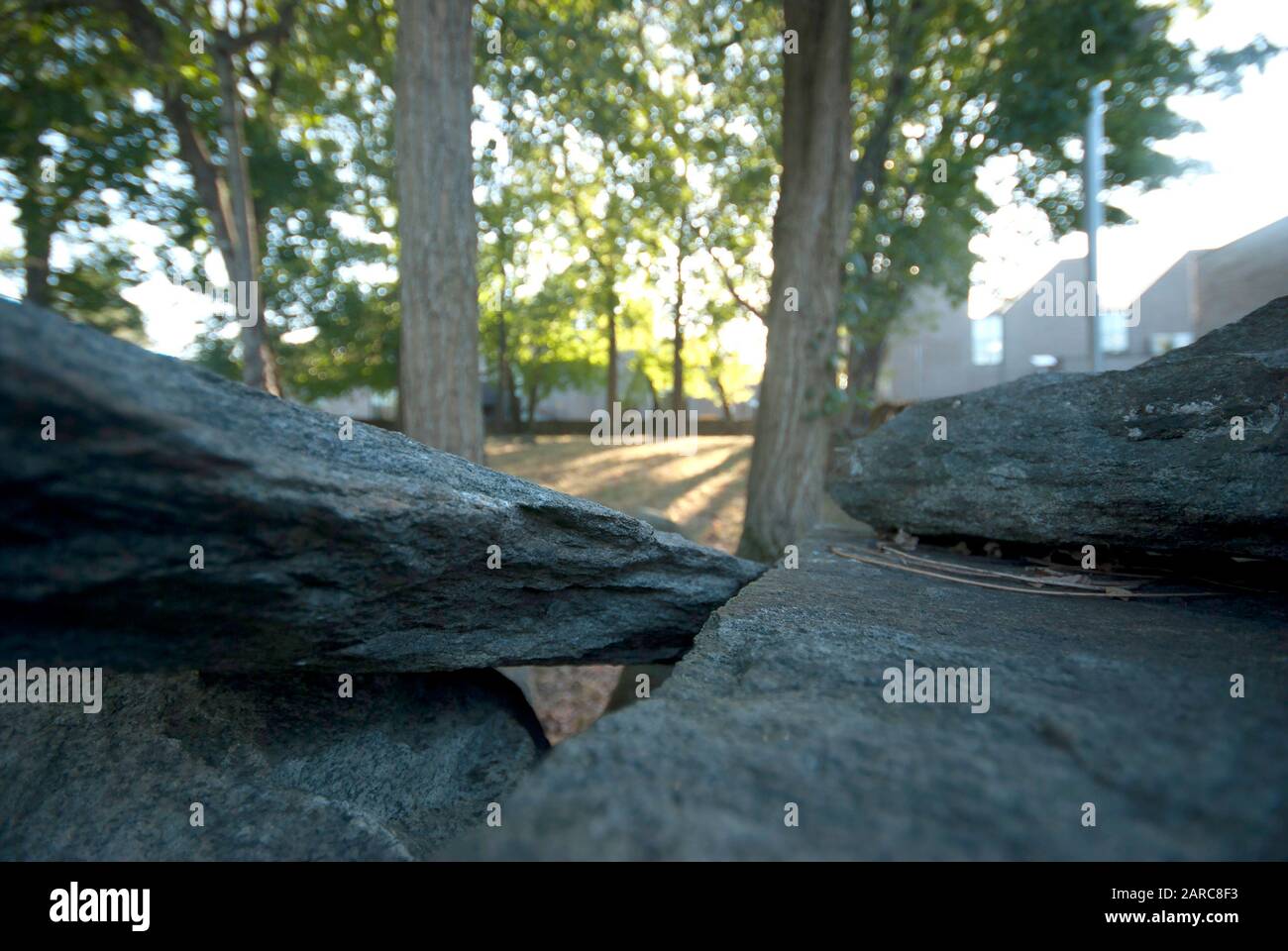 si può ammirare la parete di roccia su una vista piena di alberi con l'edificio sul retro Foto Stock