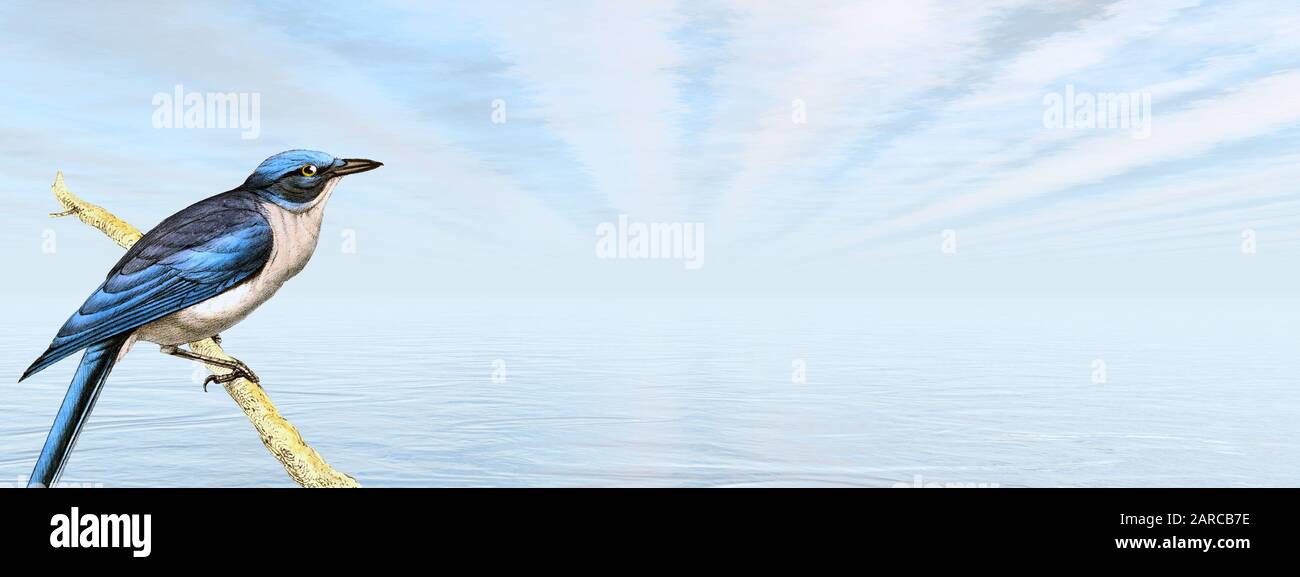 Bellissimo uccello blu che guarda l'oceano - 3D rendere Foto Stock