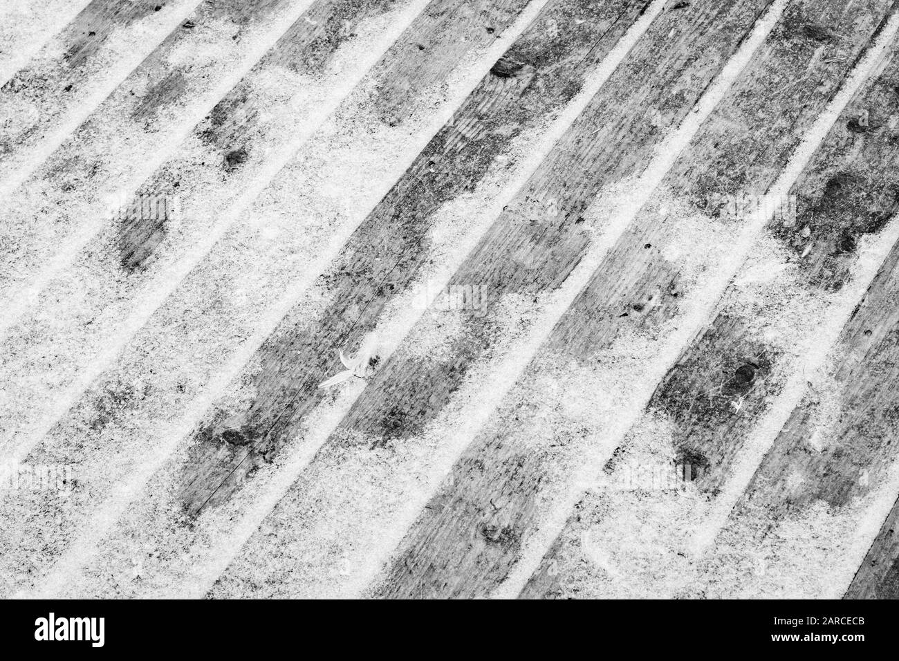 Tavole di legno coperte di neve in bianco e nero di pallet in attesa di riciclaggio. Clima invernale e brividi, clima freddo, clima freddo stagionale, freddo intenso. Foto Stock