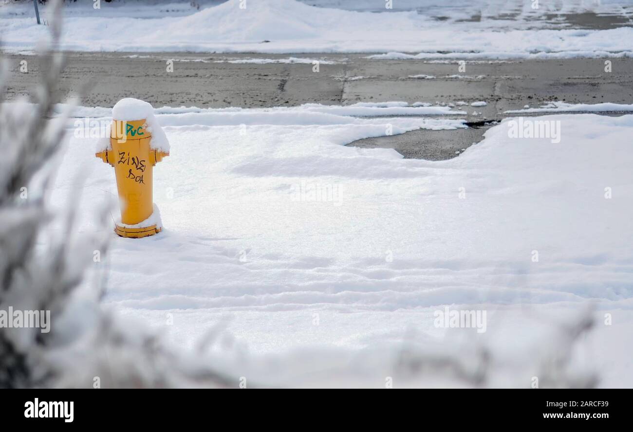 Idrante giallo sulla strada coperta di neve Foto Stock