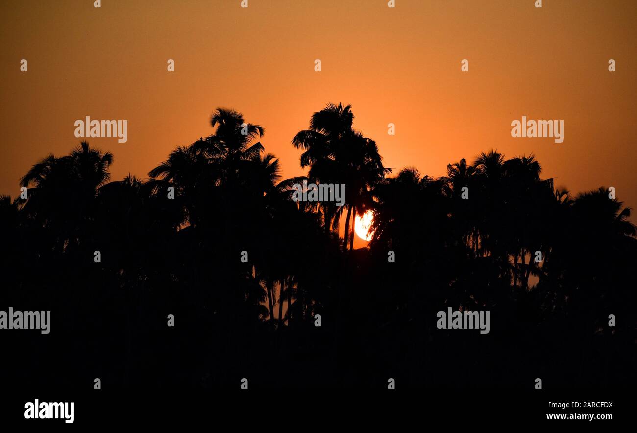 Il sole rosso brillante tramonta dietro le palme da cocco, il cielo rosso e arancione sparso di sera Foto Stock