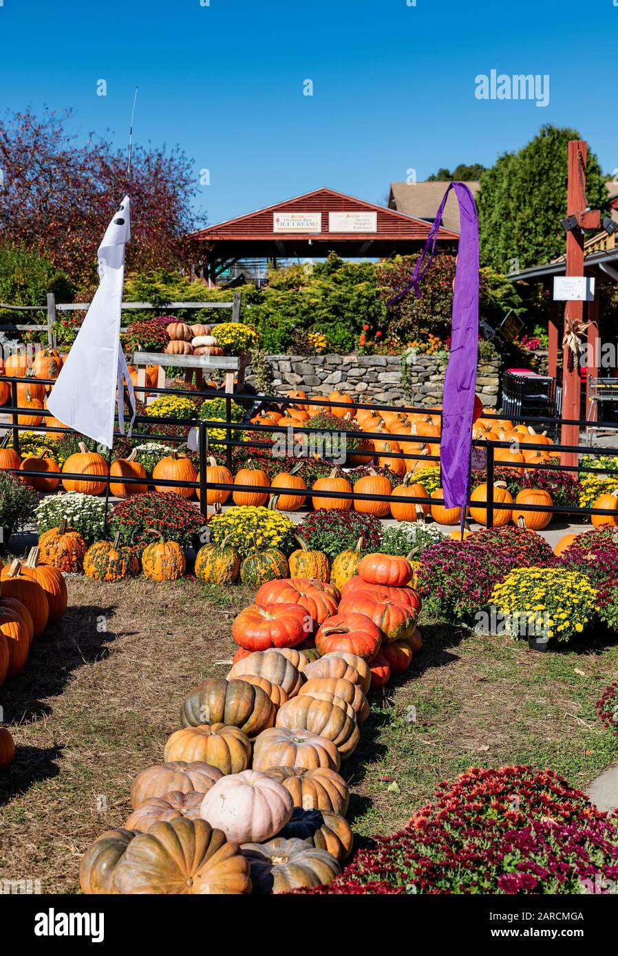 Esposizione Di Raccolto Di Mercato Degli Agricoltori Di Atkins. Foto Stock