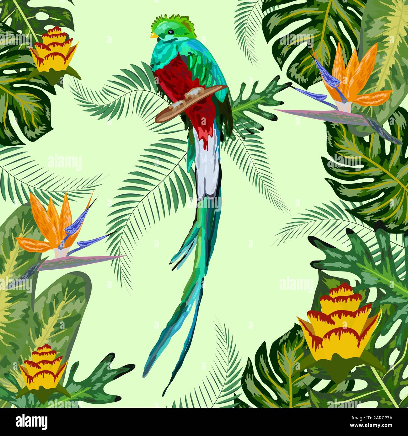 Uccello quetzal verde acquerello con coda lunga su sfondo bianco con spruzzi. Simbolo di libertà. Illustrazione Vettoriale