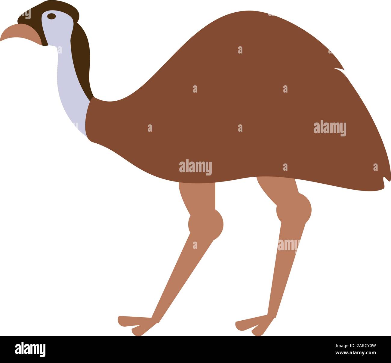 Cute australian emu design, fauna animale vita natura carattere nativo  adorabile e tema creatura illustrazione vettore Immagine e Vettoriale -  Alamy