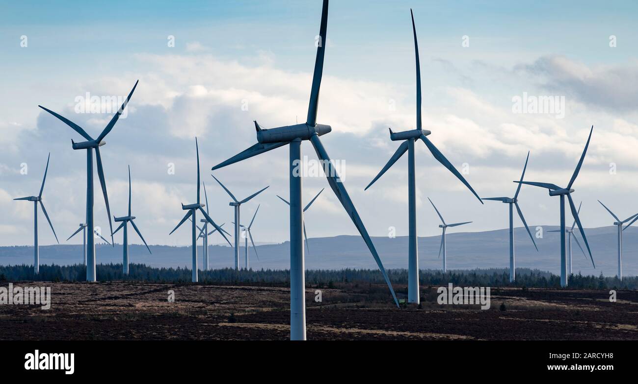 Molte turbine eoliche presso la Scottish Power Renewables Whitelee Wind Farm, nel Renfrewshire Orientale, Scozia, Regno Unito Foto Stock