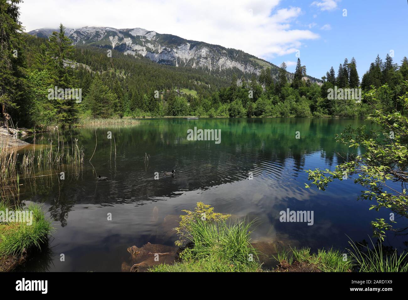 Bellissimo lago Crestasee vicino al villaggio di Flims, Svizzera Foto Stock