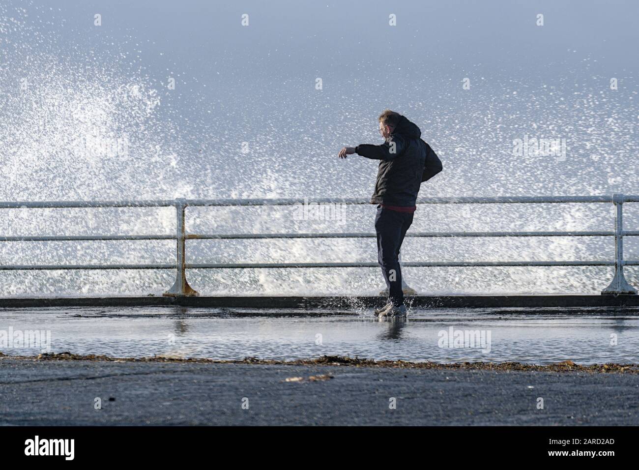 Aberystwyth Ceredigion Wales UK 17 gennaio 2019: Singolo maschio che salta indietro per evitare le onde alte mentre schizzano sopra le pareti del mare. Foto Stock
