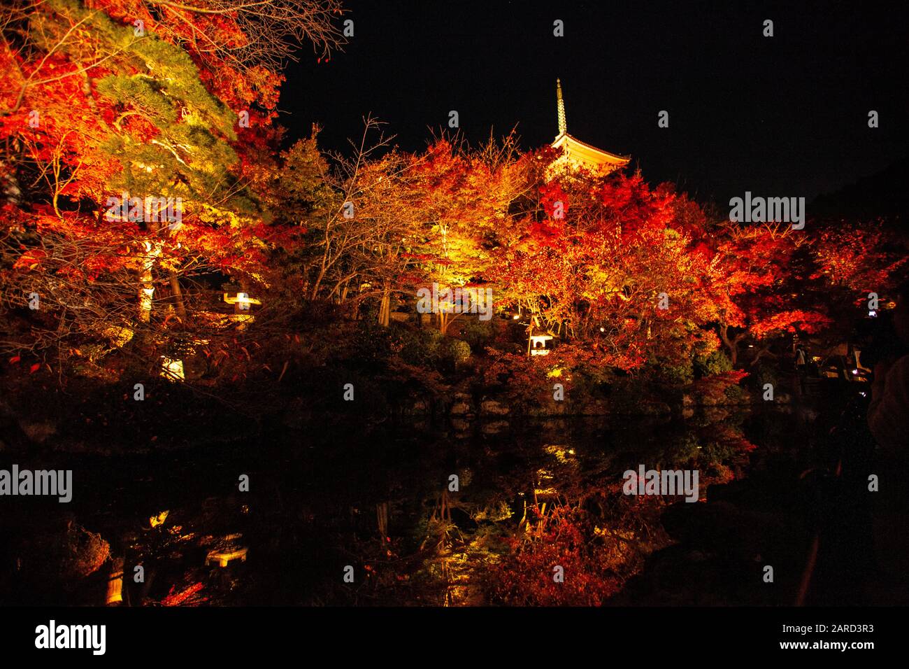 Spettacolo di illuminazione notturna durante la stagione Kōyō (Autunno Foliage) Kyoto Foto Stock