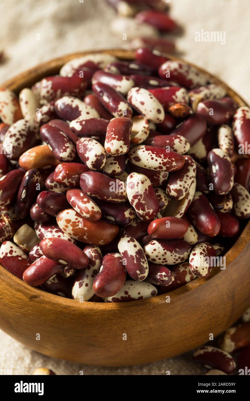 Fagioli Di Bestiame Organici Rossi Grezzi In Un Contenitore Foto Stock