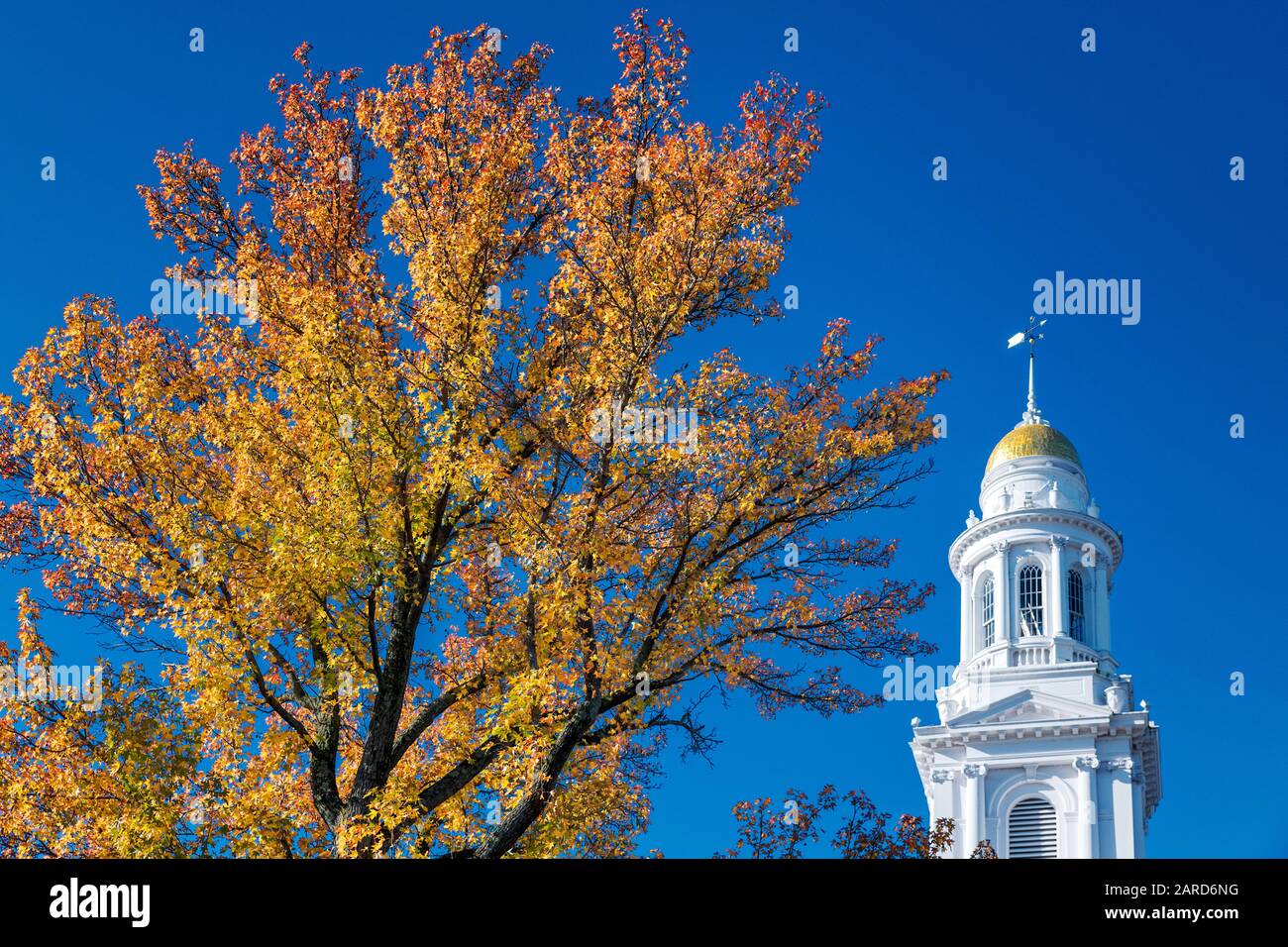 Fist Congregational Church di Danbury, Connecticut, Stati Uniti. Foto Stock