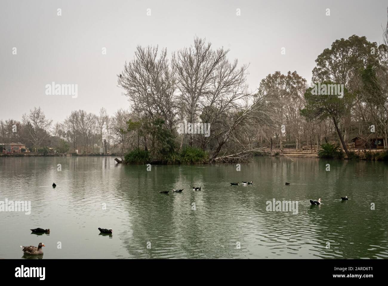 Laguna di Albufera de Anna. Valencia. Spagna Foto Stock