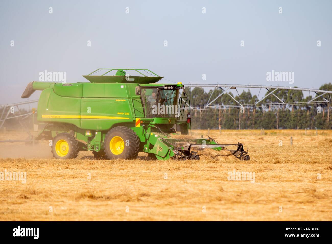 Canterbury, Nuova Zelanda, 26 gennaio 2020: Una mietitrebbia John Deere separa il seme dal ryegrass tagliato in un campo agricolo Foto Stock