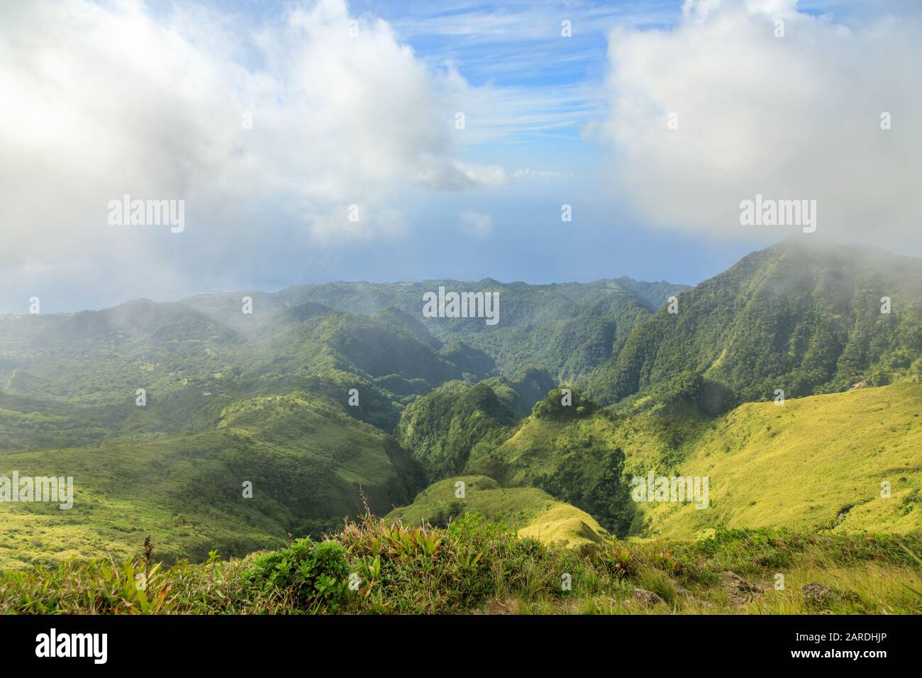 Monte Pelee verde vulcano collina panorama, Martinica, dipartimento francese d'oltremare Foto Stock Monte Pelee verde vulcano collina panorama, Martinica, dipartimento francese d'oltremare Foto Stock