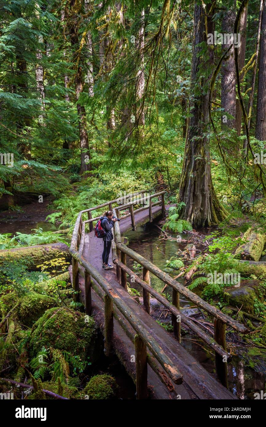 Giovane donna hiker con macchina fotografica sul McKenzie River National Recreation Trail, Willamette National Forest, Oregon. Foto Stock