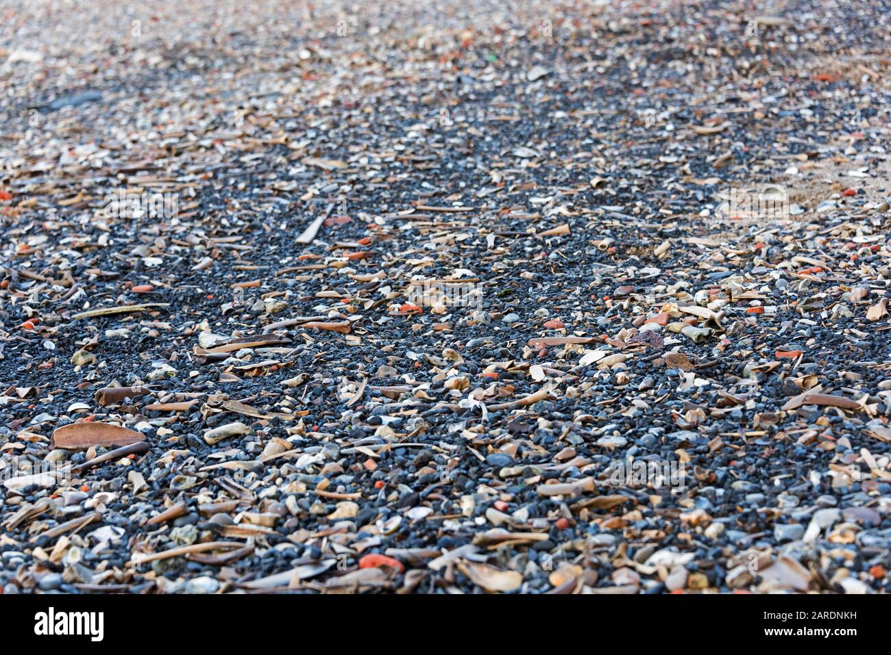 Le vecchie ossa degli animali si sono lavate sul fiume Tamigi, Greenwich, Londra. Foto Stock
