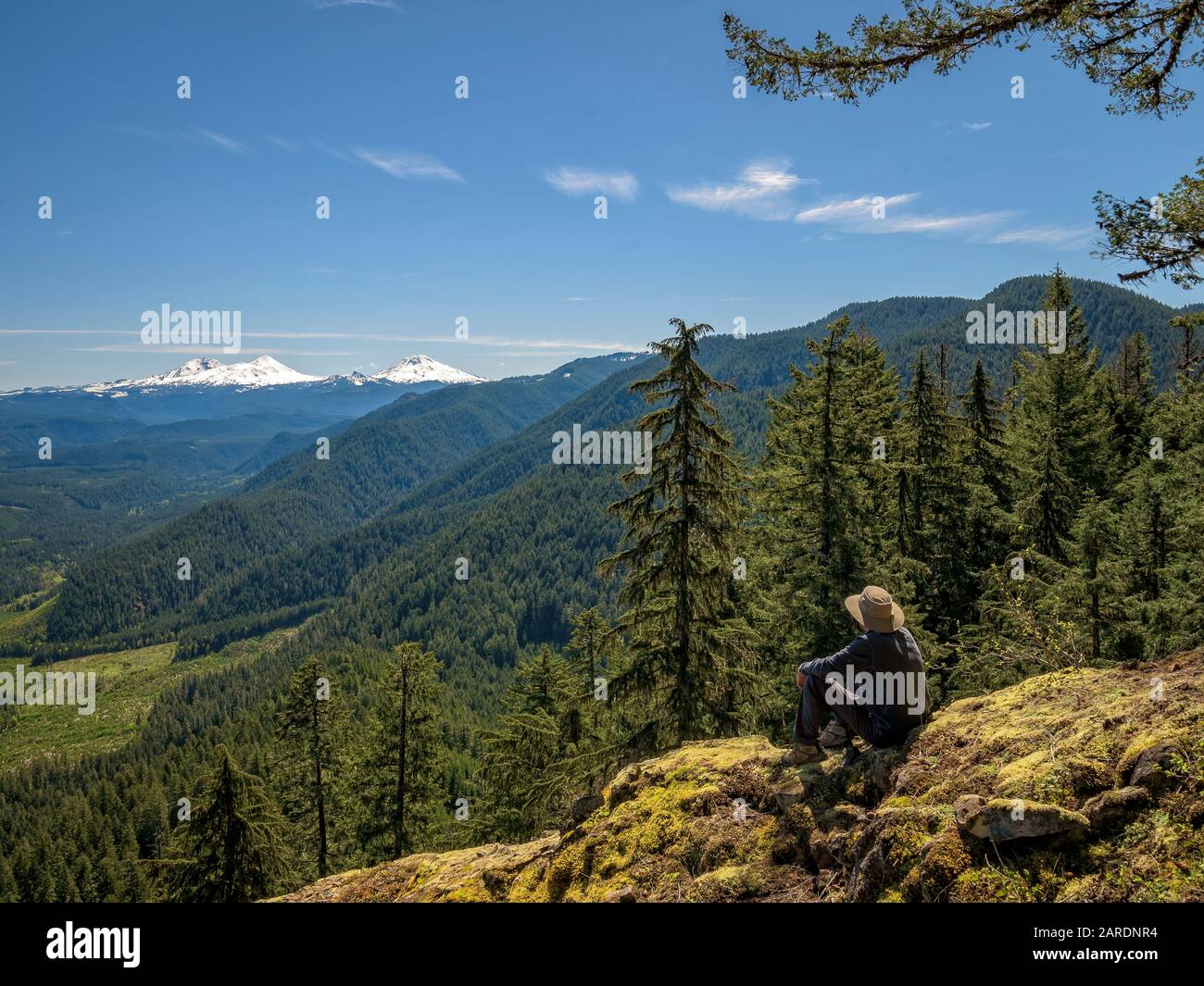 Hiker che ammira la vista delle Cascade Peaks dal Castle Rock Trail, Willamette National Forest, Oregon. Foto Stock