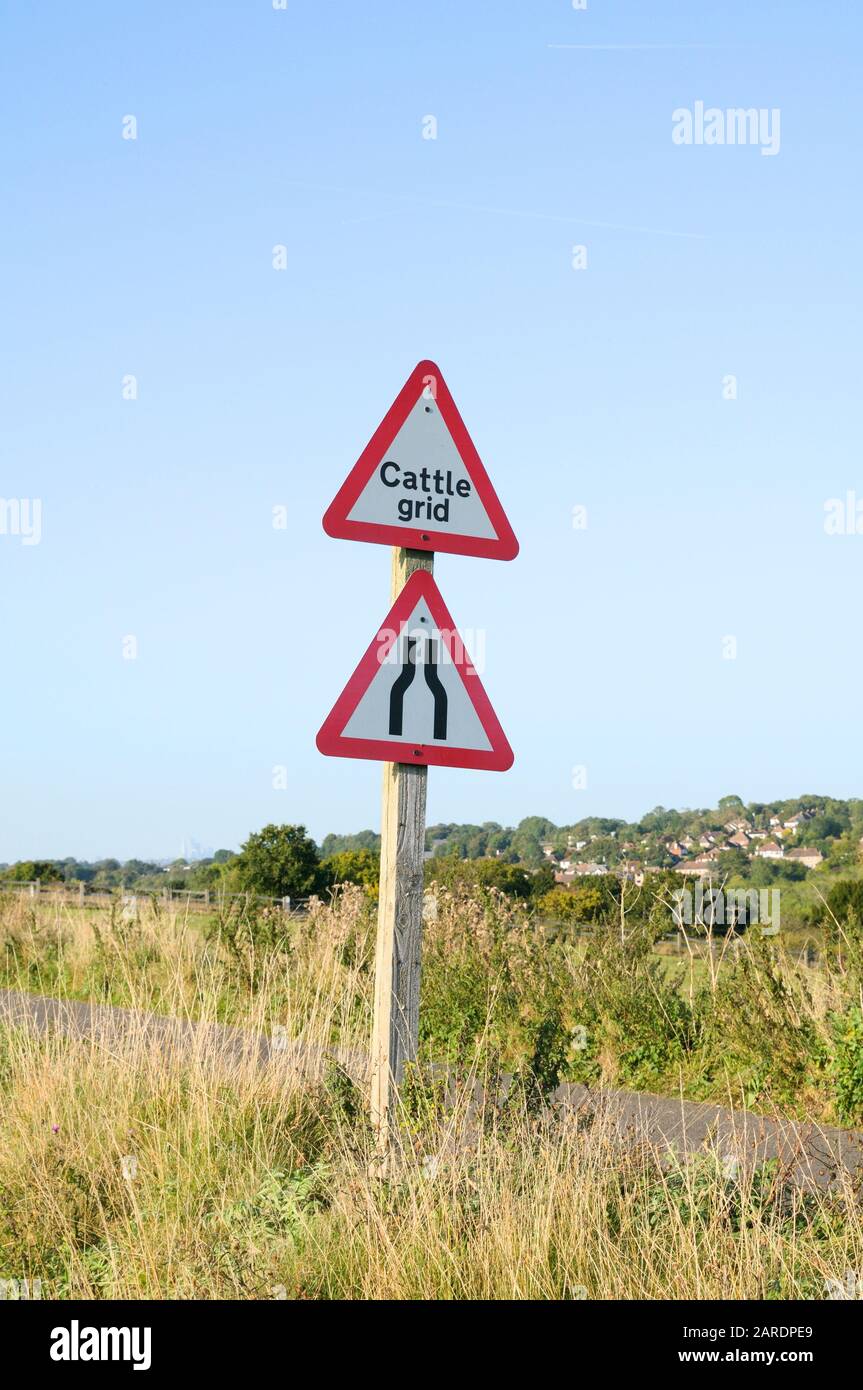 Griglia del bestiame e segnaletica stradale stretta davanti, Inghilterra, Regno Unito Foto Stock