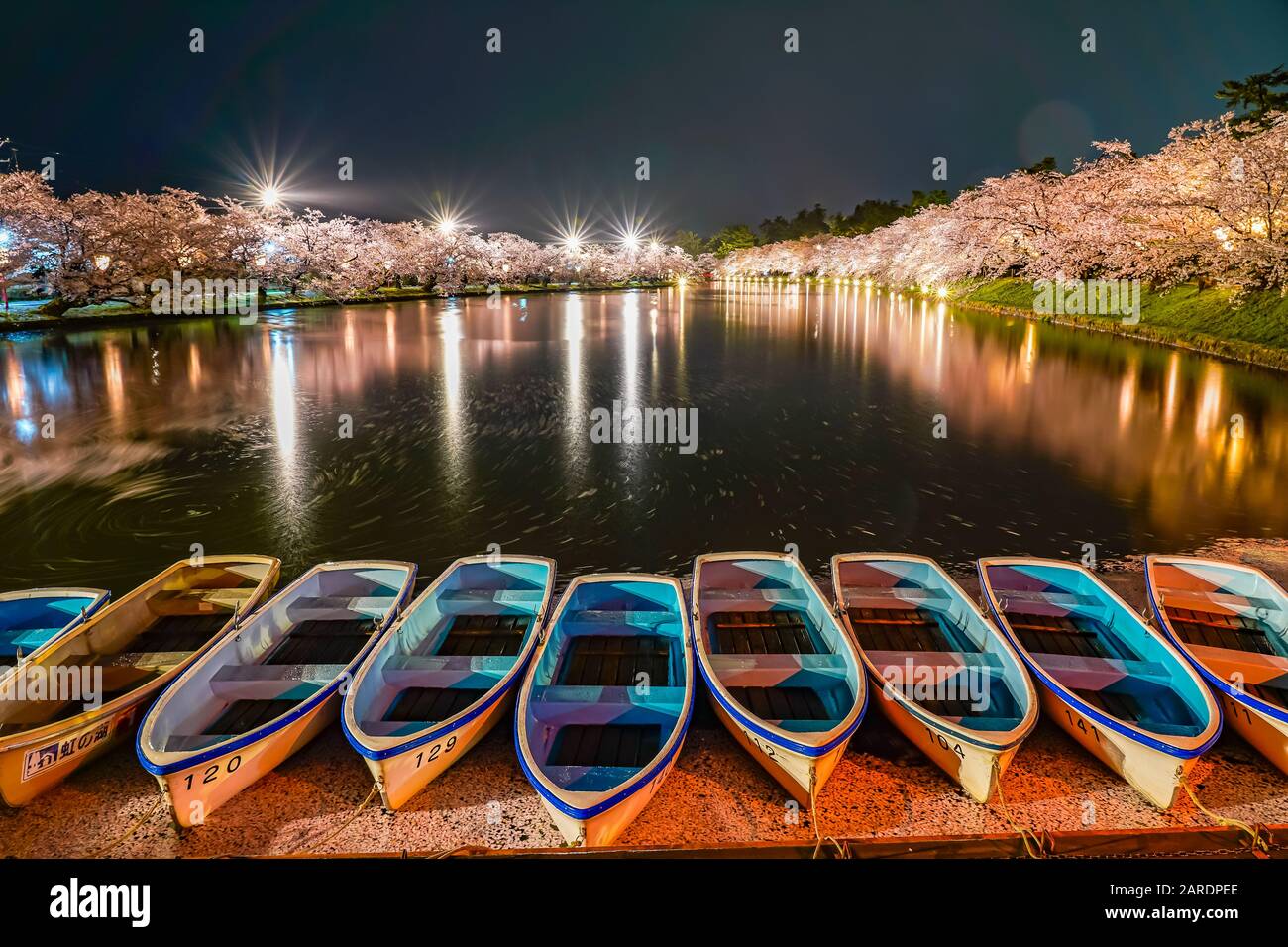 Hirosaki parco ciliegio fiore alberi matsuri festival si accendono di notte in primavera. Bellezza piena fiore rosa sakura fiori in fossato ovest con luci Foto Stock