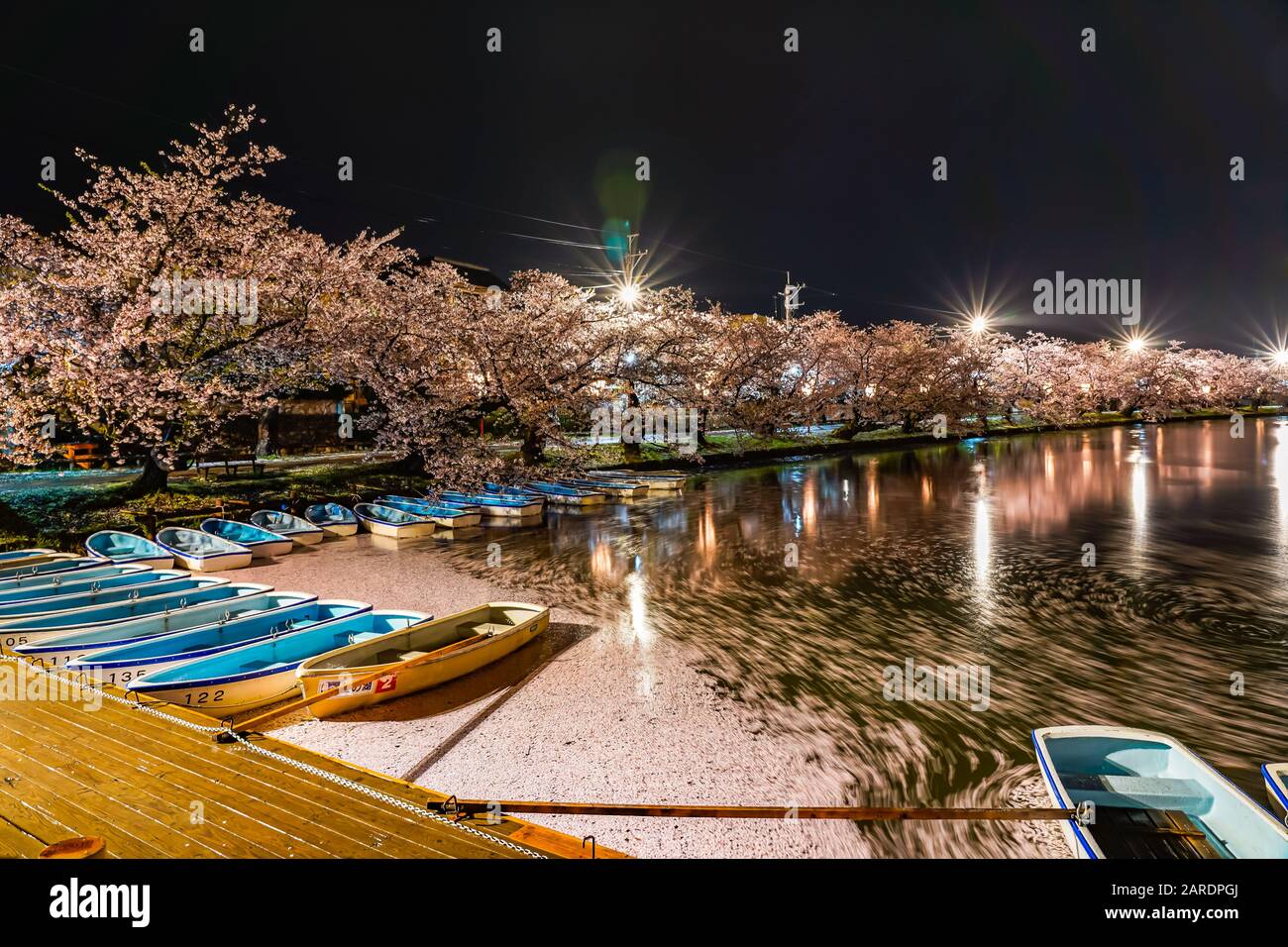 Hirosaki parco ciliegio fiore alberi matsuri festival si accendono di notte in primavera. Bellezza piena fiore rosa sakura fiori in fossato ovest con luci Foto Stock