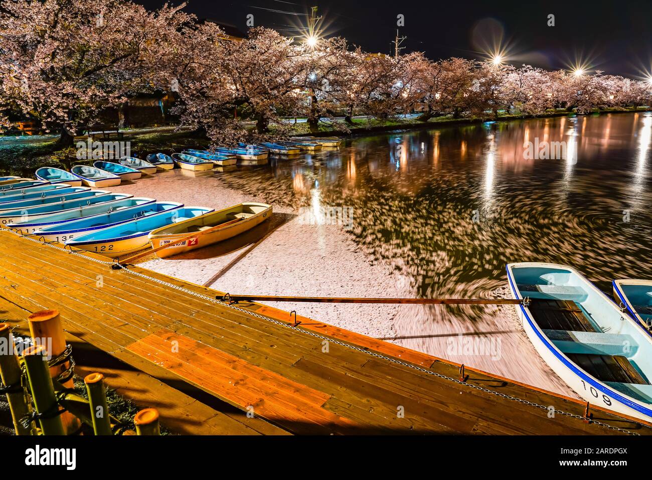 Hirosaki parco ciliegio fiore alberi matsuri festival si accendono di notte in primavera. Bellezza piena fiore rosa sakura fiori in fossato ovest con luci Foto Stock