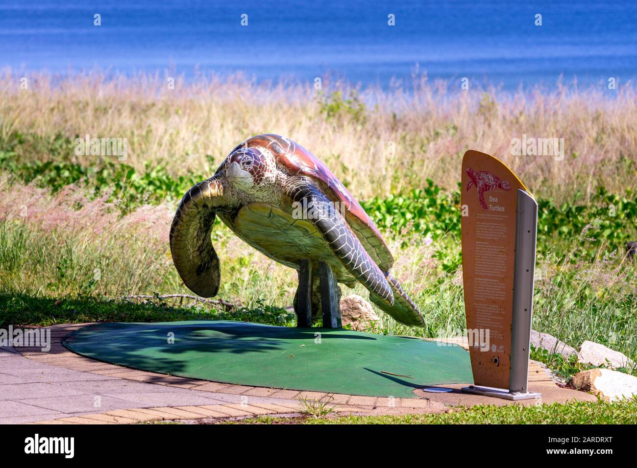 Modello di tartaruga marina e segnale informativo accanto al sentiero pedonale, The Strand , Townsville, Queensland, Australia Foto Stock