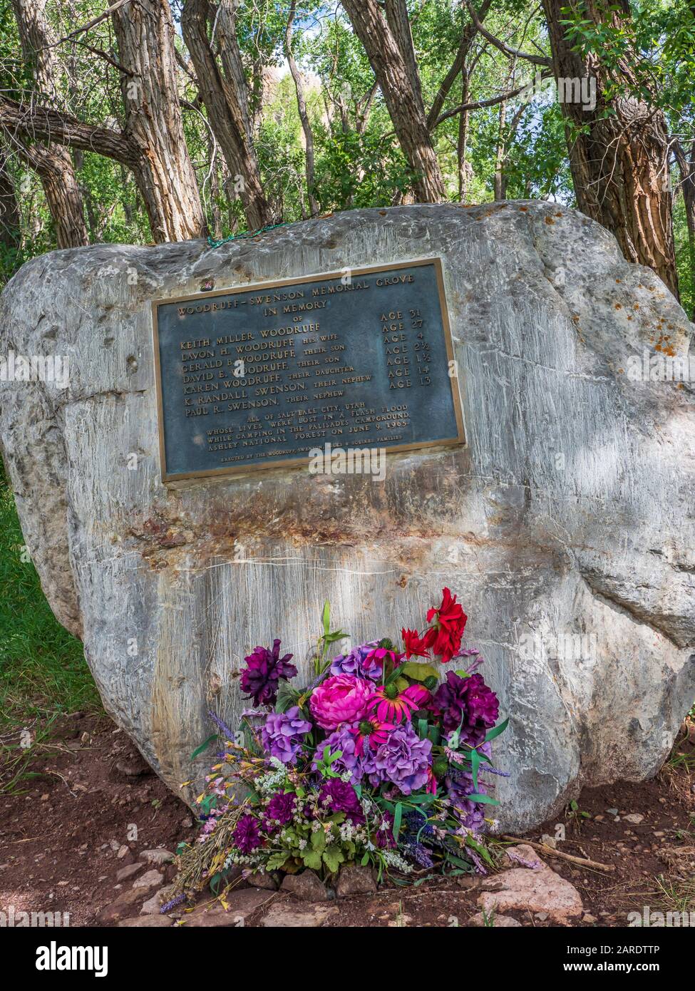 Targa Commemorativa, Palisades Memorial, Area Geologica Sheep Creek Canyon, Ashley National Forest, Utah. Foto Stock