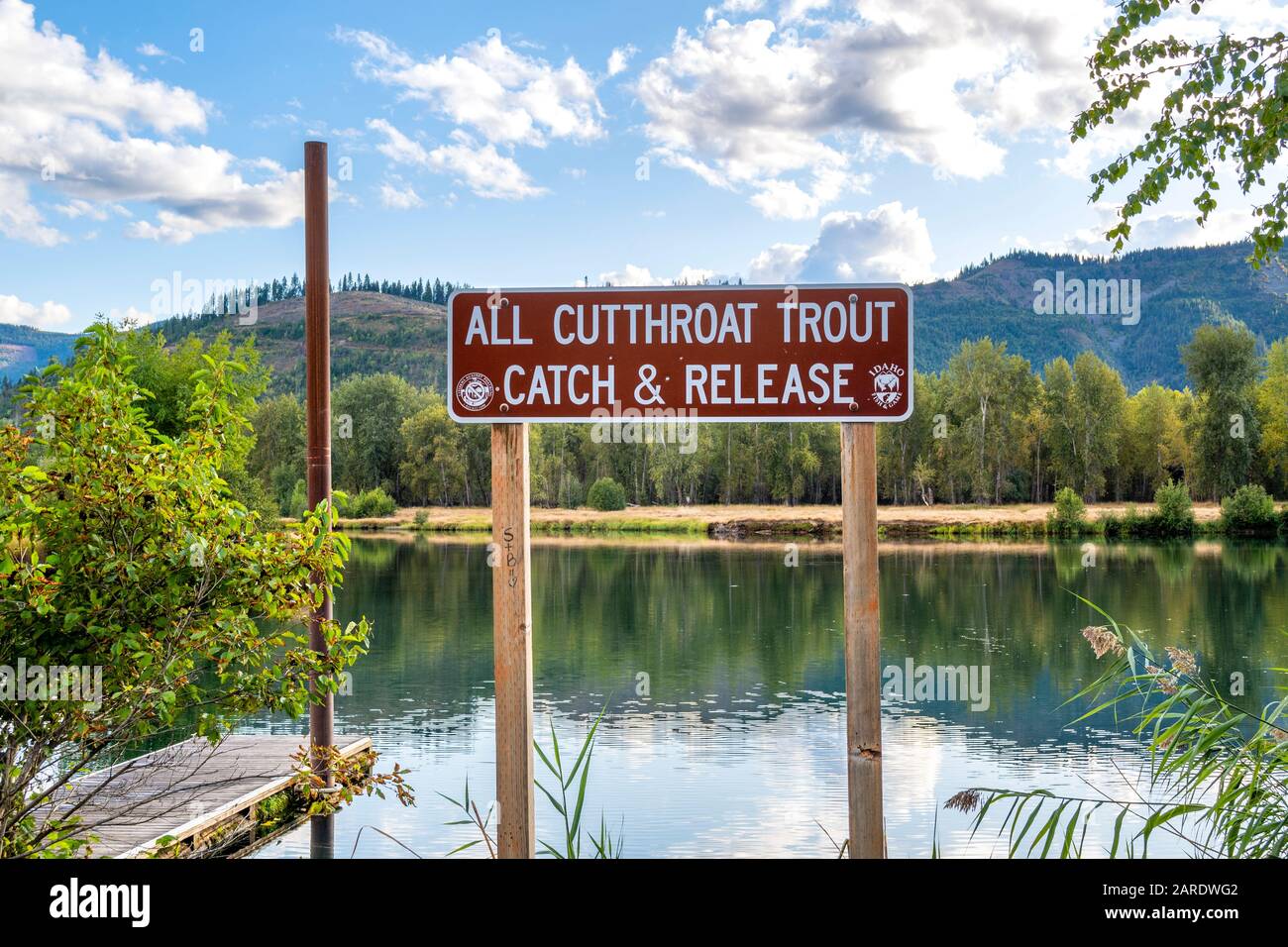 Un cartello di cattura e rilascio per il Cutgola Trout lungo il fiume Coeur d'Alene vicino a Cataldo, Idaho, parte della Silver Valley. Foto Stock