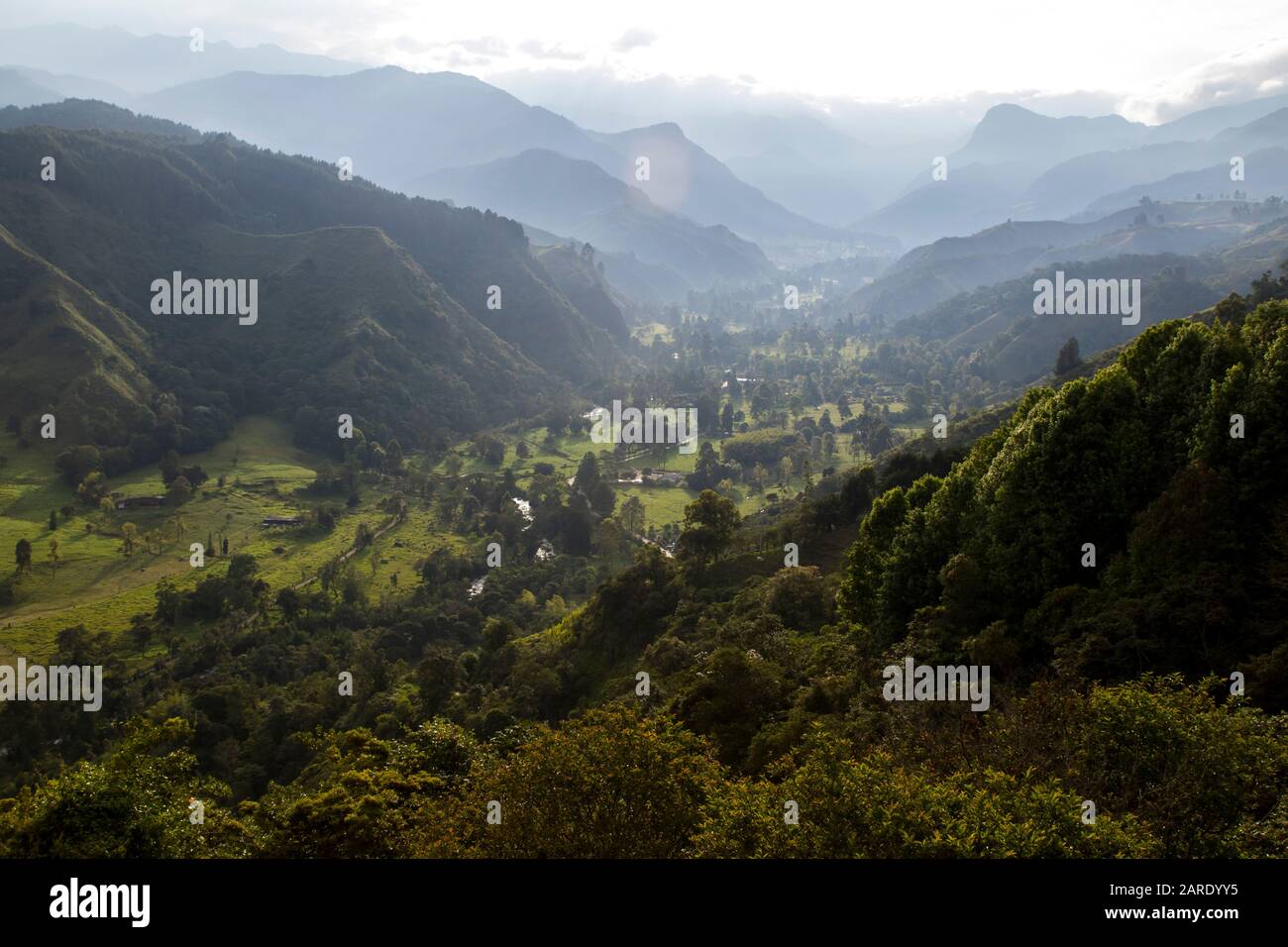 Valle Di Cocora. Comune Di Salento Quindio. Situato nelle Ande colombiane è una città con architettura tradizionale. La Valle di Cocora, sede del Pal Foto Stock