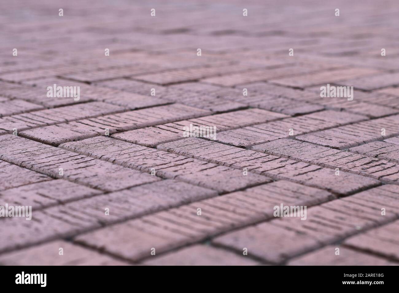 Asfaltatrici In Mattoni Foto Stock