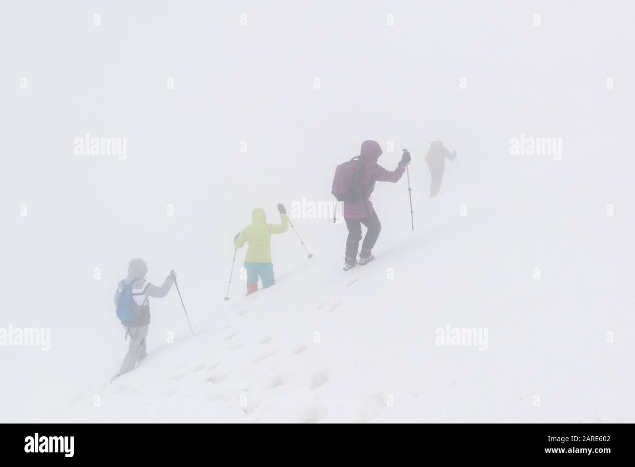 MONTAGNE dei Carpazi / UCRAINA – 9 MARZO 2019: Gli scalatori sfortunati delle montagne invernali si sono persi in una nebbia e in una tempesta di neve Foto Stock