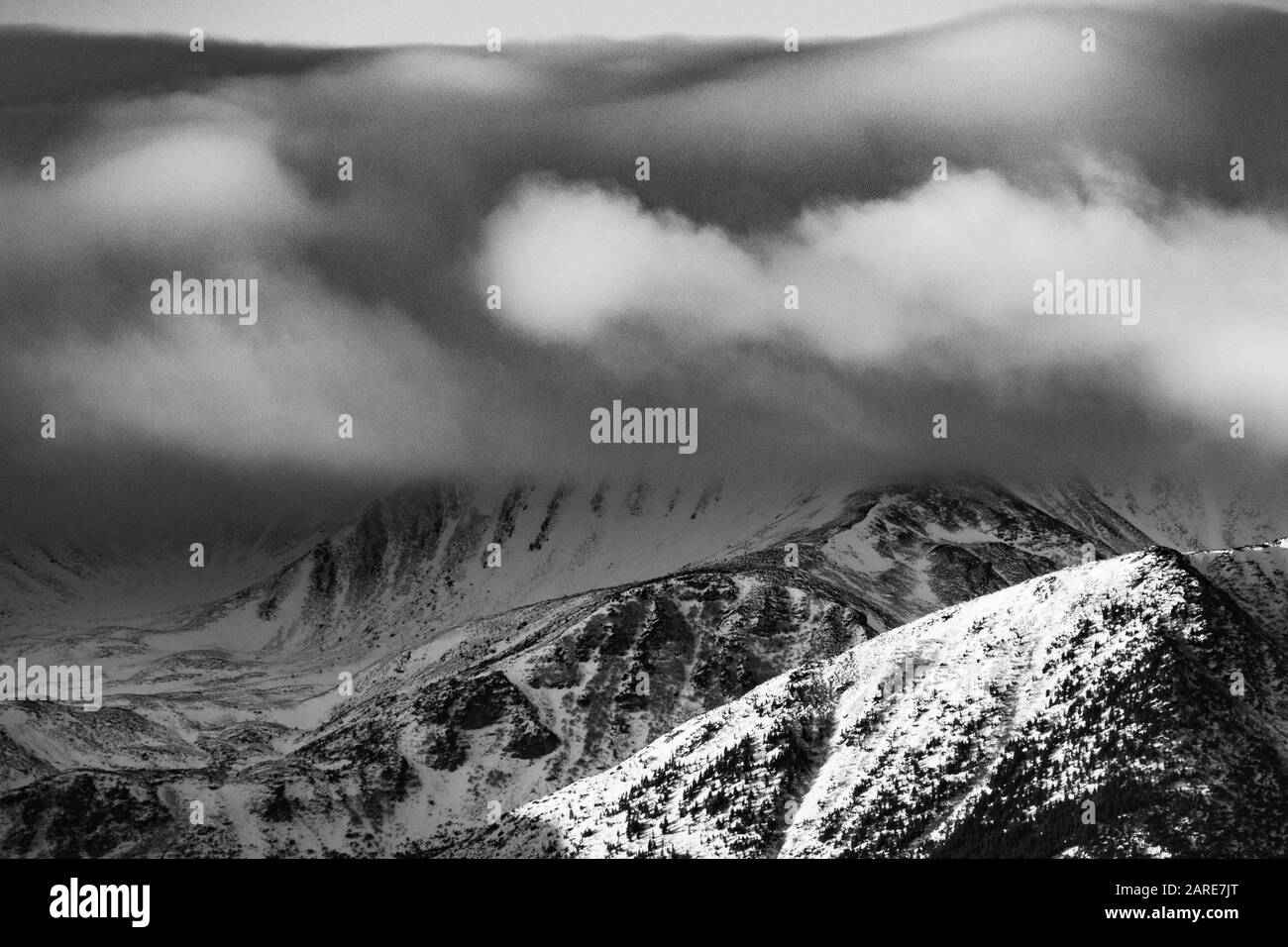 Spettacolare foto d'arte delle cime di montagna in inverno. Foto in bianco e nero. Montagne Carpazi, Ucraina Foto Stock