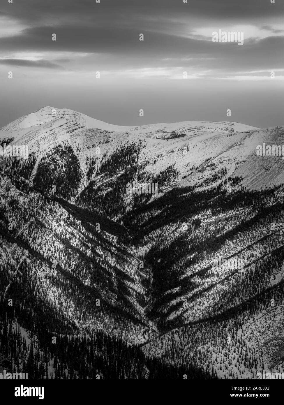 Crepaccio Di Montagna Coperto Di Neve Fresca Powered, Montagne Rocciose Canadesi Foto Stock