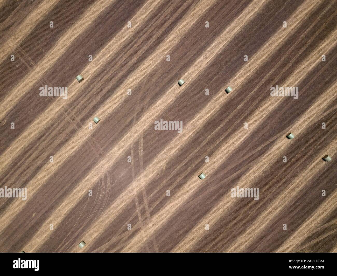 Agricoltura paddock astratto con balle di fieno rotonde, piste e modelli di fondo, vista aerea, Victoria, Australia Foto Stock
