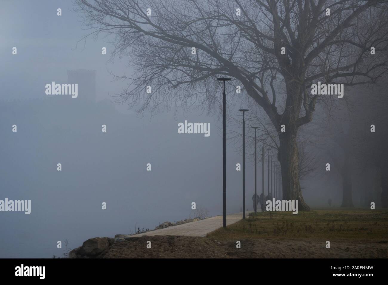 Vista panoramica sulla riva del lago Trasimeno vicino a Castiglione del Lago in un'intensa giornata invernale Foto Stock