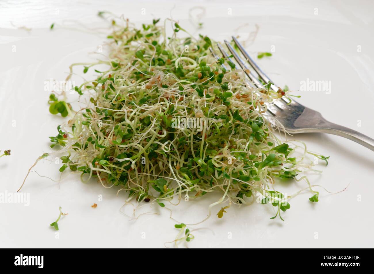 I germogli di fagiolo sono accatastati su una piastra pronta per mangiare Foto Stock