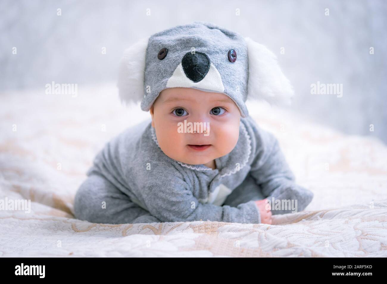 Bambino carino in costume koala Foto Stock