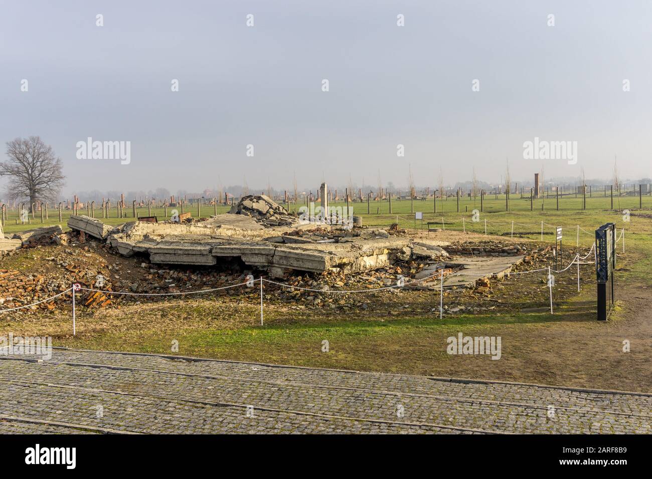 Demolita camera a gas ad Auschwitz II-Birkenau, Ofiar Niemieckiego Faszyzmu, Brzezinka, Polonia Foto Stock