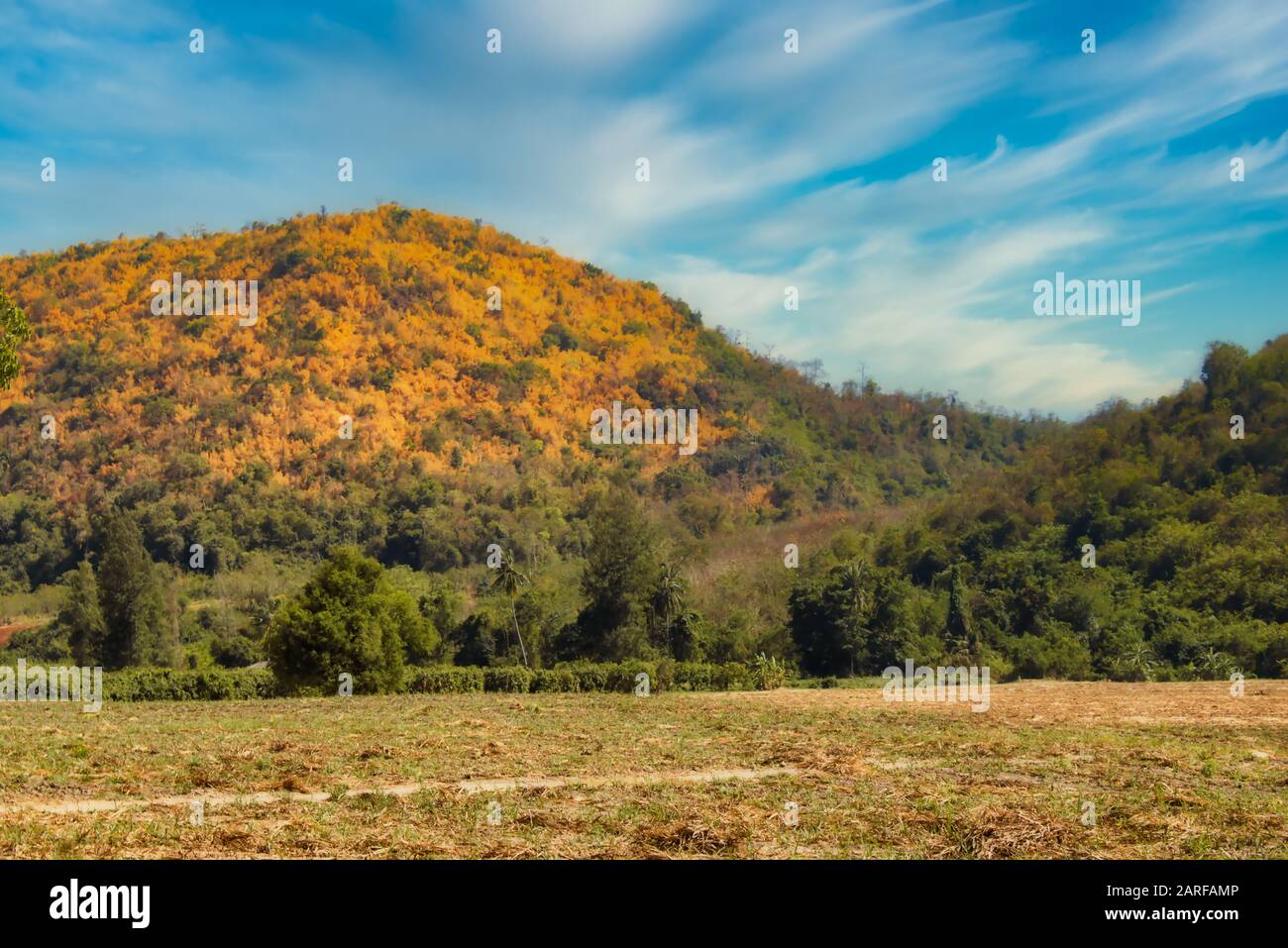 Questa foto unica mostra una bella collina boschiva d'autunno e campi e alberi in primo piano. La foto è stata scattata a Hua Hin in Thailandia Foto Stock