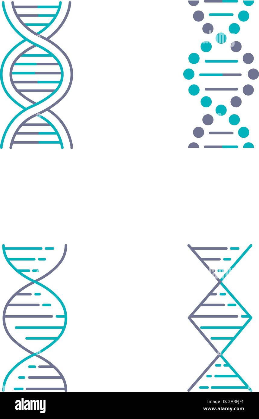 Filamenti a spirale di DNA viola e turchese icone di colore. Elica di acido nucleico deossiribonucleico. Cromosoma. Biologia molecolare. Codice genetico. Genoma. Ge Illustrazione Vettoriale