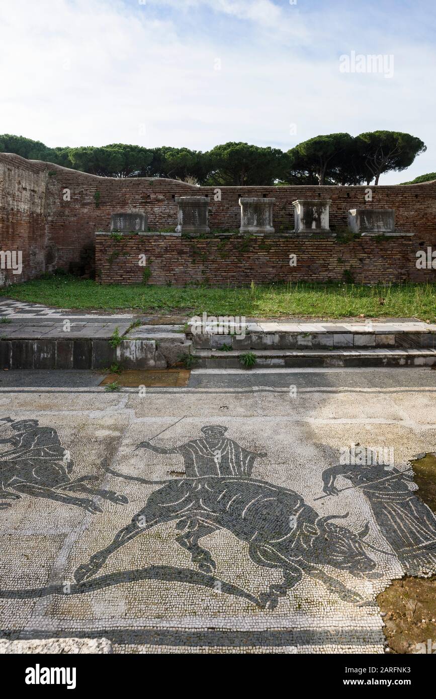 Roma. Italia. Ostia Antica. Caserma dei Vigili (Caserma dei Vigili del fuoco). Mosaico raffigurante un toro portato a sacrificio nel pronao (vestibolo Foto Stock