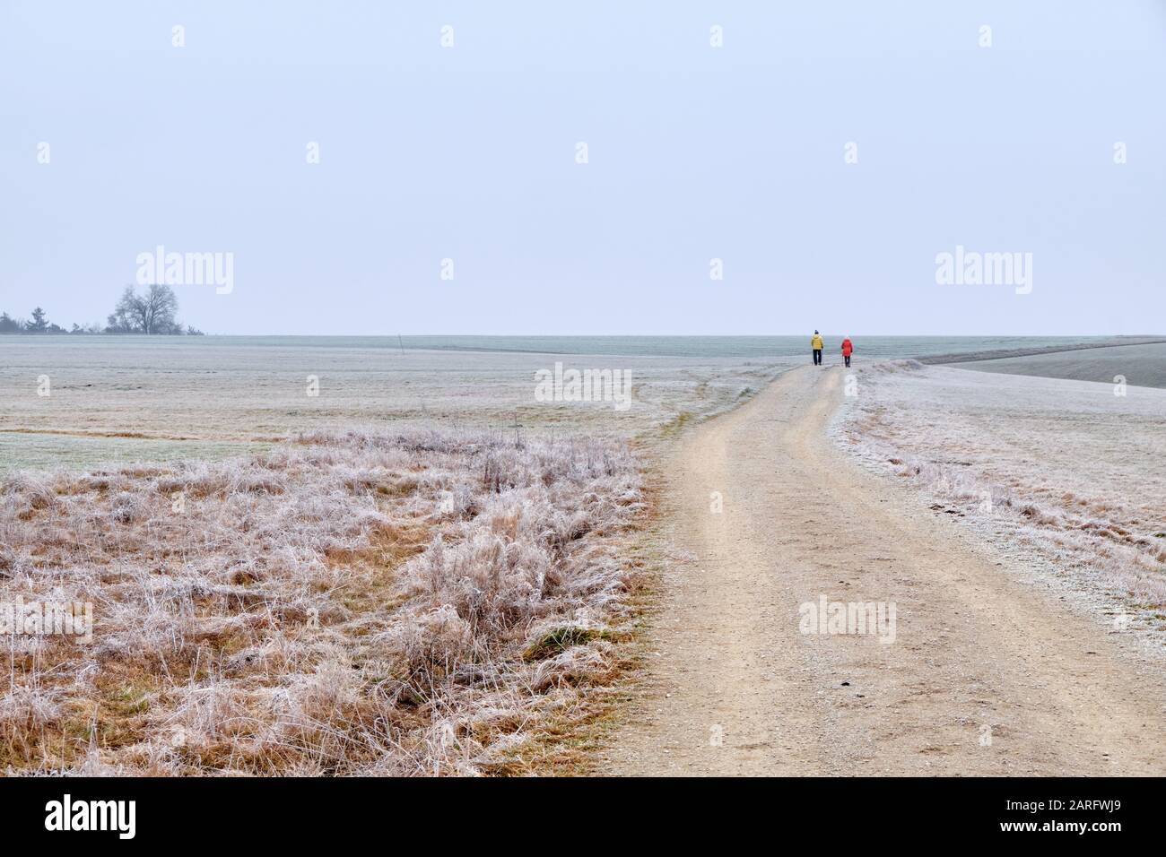 Frosty grigio paesaggio invernale con una strada di ghiaia e due escursionisti in campagna. Visto in Baviera, Germania nel mese di gennaio Foto Stock
