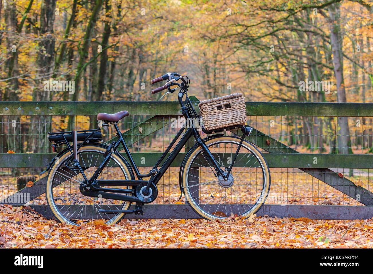 Bicicletta elettrica olandese nera cargo con cesto nel parco nazionale  Veluwezoom Foto stock - Alamy
