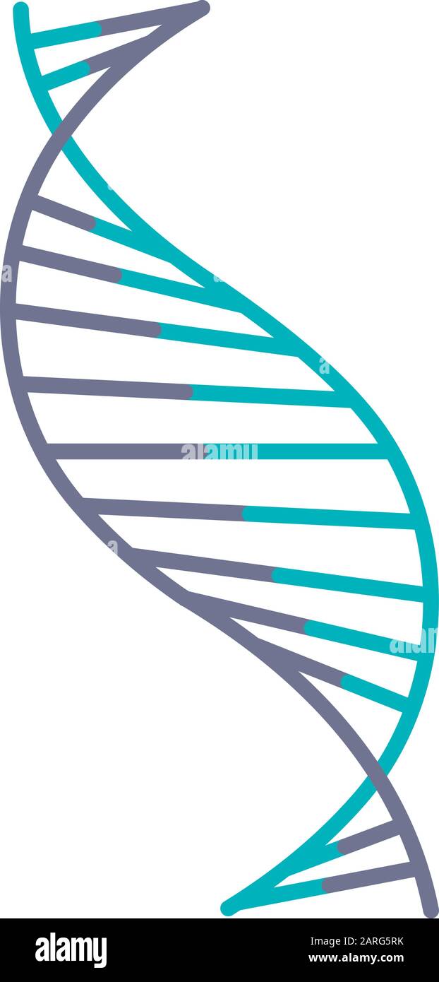 DNA spirale filamento viola e turchese icona di colore. Strisce elicoidali di acido nucleico deossiribonucleico. Cromosoma. Biologia molecolare. Codice genetico. Genoma. Illustrazione Vettoriale