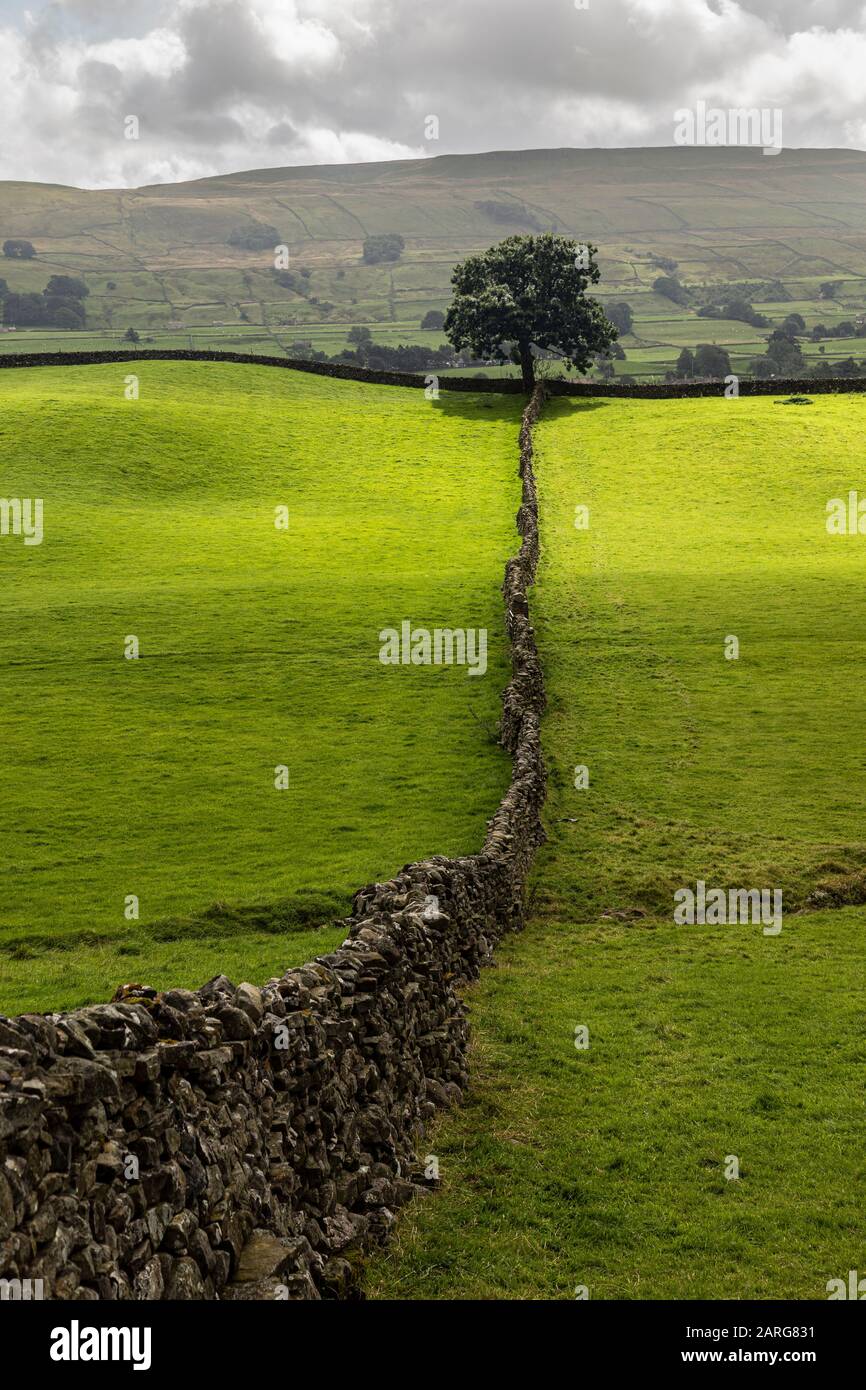 Tipico paesaggio dello Yorkshire Dales vicino a Sedbusk, Wensleydale Foto Stock
