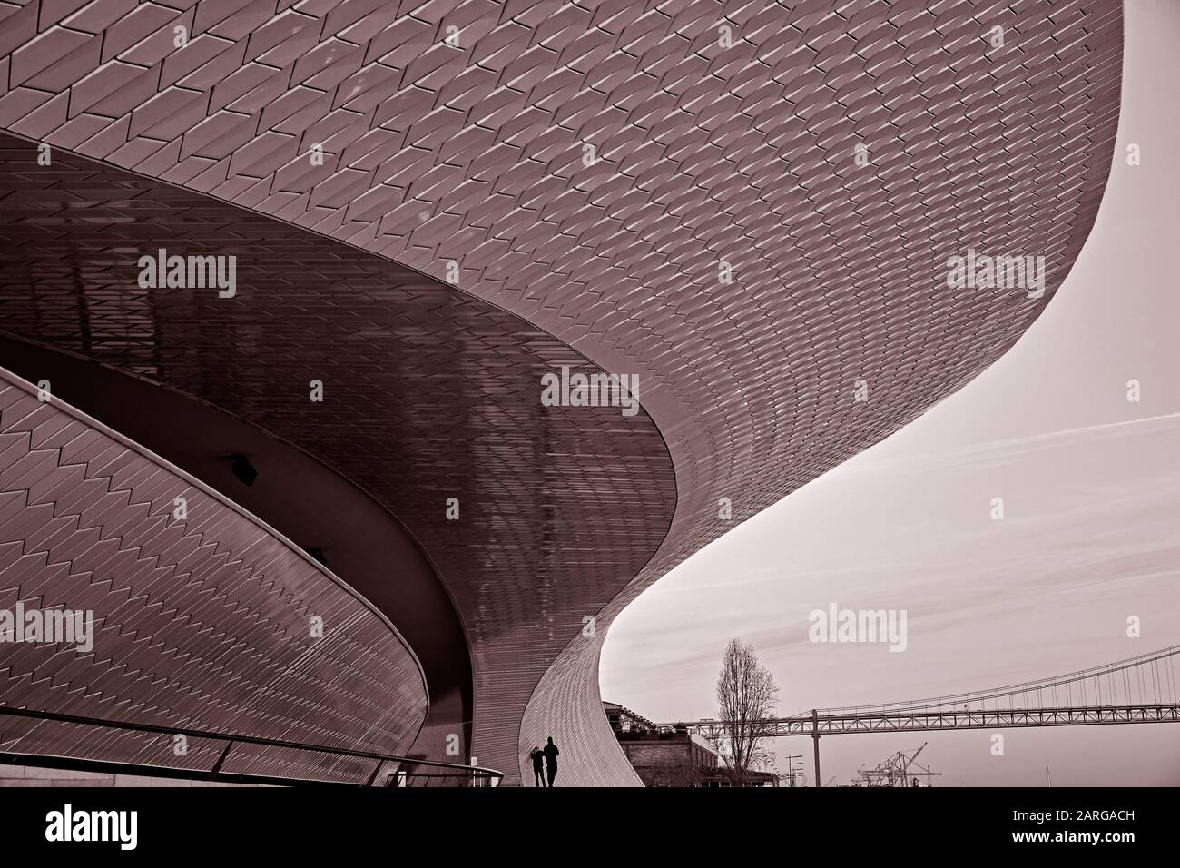 Facciata del Museo d'Arte, architettura e tecnologia di Lisbona, progettato dall'architetto Amanda Levete Foto Stock