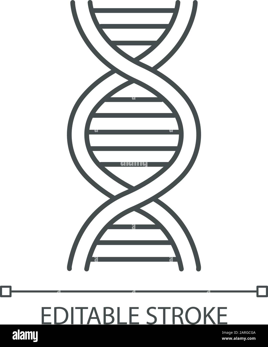 Icona lineare elica DNA. Struttura di acido nucleico desossiribonucleico. Cromosoma. Biologia molecolare. Codice genetico. Illustrazione a linee sottili. Simbolo del contorno. Illustrazione Vettoriale