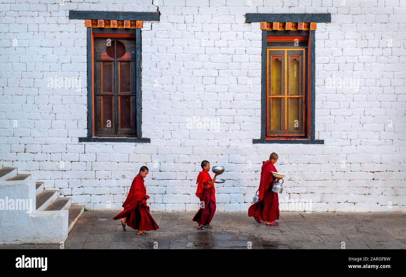 Uomini che praticano il Tai Chi al Green Lake Park, Kunming, Yunnan, Cina, Asia Foto Stock