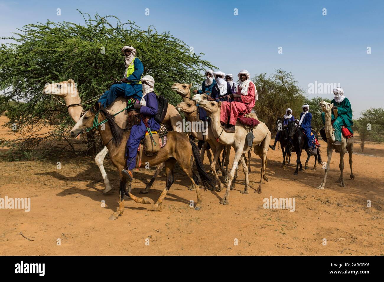Tuaregs sui loro cammelli, festival di Gerewol, concorso rituale di corteggiamento fra il popolo di Wodaabe Fula, Niger, Africa occidentale, Africa Foto Stock