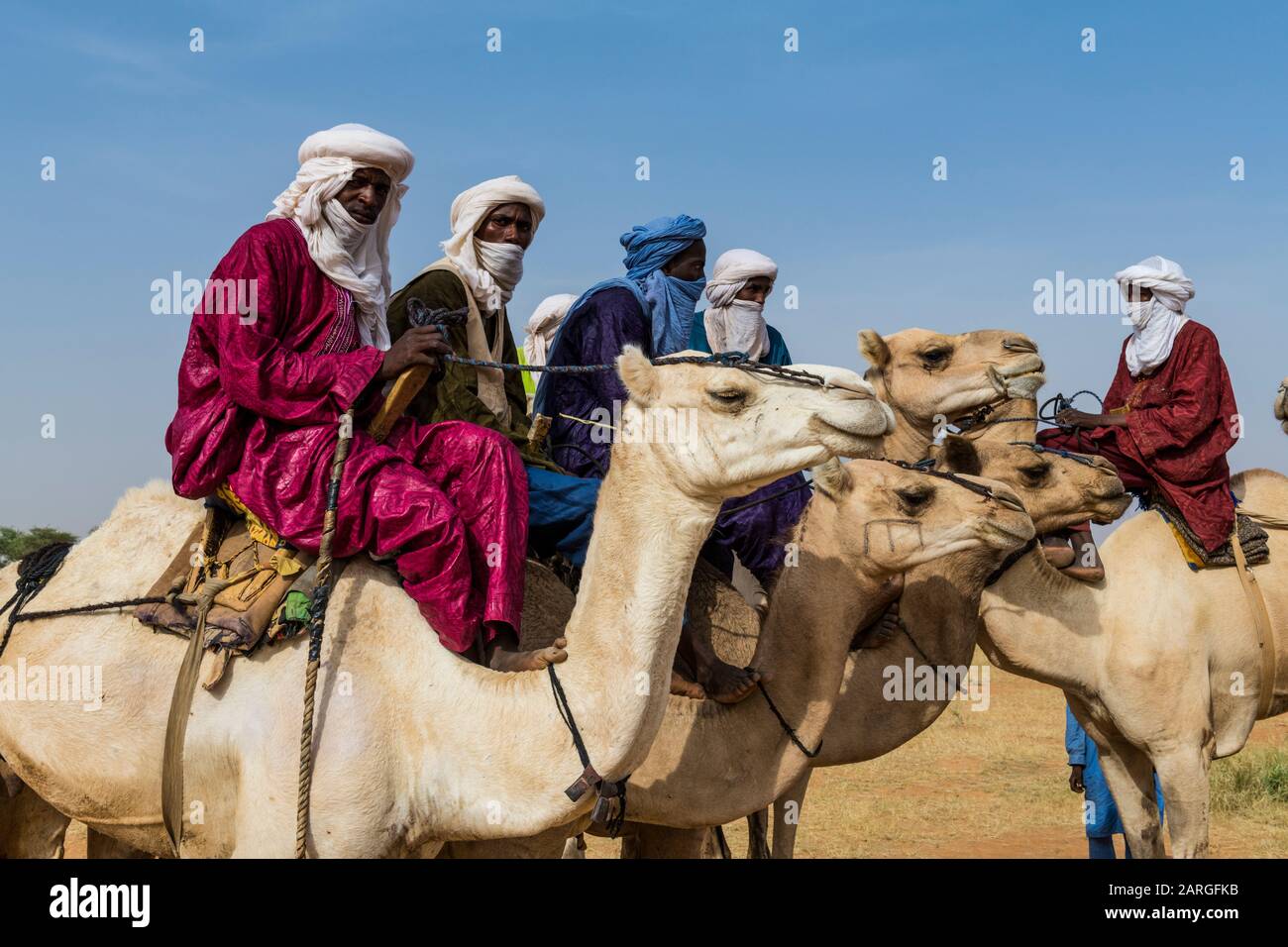 Tuaregs su cammelli, festival di Gerewol, concorso rituale di corteggiamento tra il popolo di Wodaabe Fula, Niger, Africa occidentale, Africa Foto Stock