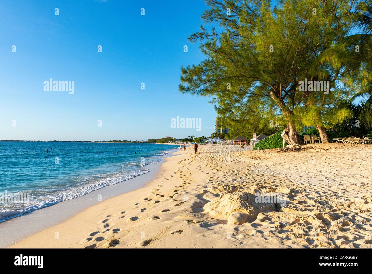Governors Beach, Parte Di Seven Mile Beach, Grand Cayman, Isole Cayman, Caraibi, America Centrale Foto Stock